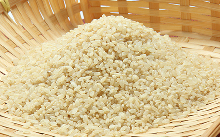 あきたこまち玄米5kg【配送不可地域:離島・沖縄県】【1595356】