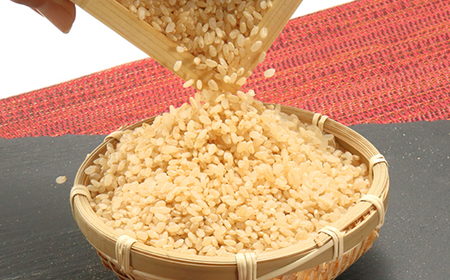 あきたこまち特別栽培玄米5kg【配送不可地域：離島・沖縄県】【1595357】