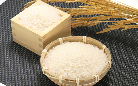 あきたこまち無洗米(精米)2kg【配送不可地域：離島・沖縄県】【1595370】