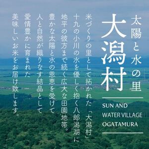 【毎月定期便】秋田県産あきたこまち無洗米5kg(5kg×1)全3回【配送不可地域：離島・沖縄県】【4072879】