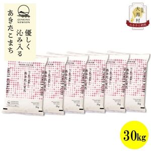 【毎月定期便】秋田県産あきたこまち無洗米30kg(5kg×6)全3回【配送不可地域：離島・沖縄県】【4072886】
