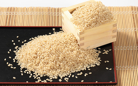 令和7年産 あきたこまち 玄米 10kg(5kg×2袋)【配送不可地域：離島・沖縄県】【1666261】