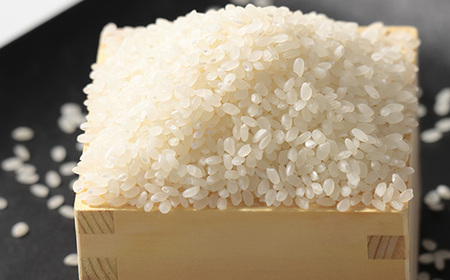 令和7年産 あきたこまち 白米 10kg(5kg×2袋)【配送不可地域：離島・沖縄県】【1666274】