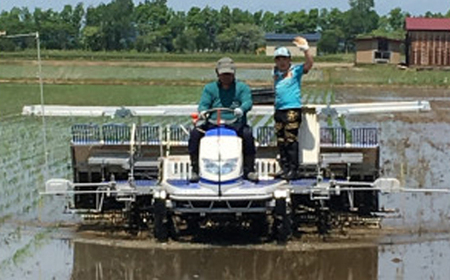 【令和7年産】特別栽培米サキホコレ5kg(白米)【配送不可地域:離島・沖縄県】【1670576】