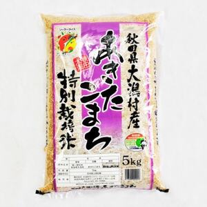 【毎月定期便】あきたこまち特別栽培玄米5kg全3回【配送不可地域：離島・沖縄県】【4075565】