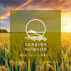 あきたこまち白米 1kg スタンドパック【1678159】