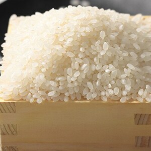 【毎月定期便】あきたこまち 白米 10kg(5kg×2袋)全6回【配送不可地域：離島・沖縄県】【4080808】