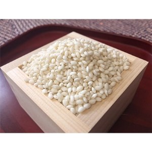 令和2年産もち米「こがねもち」5kg (栽培期間中農薬・化学肥料不使用)【1131197】