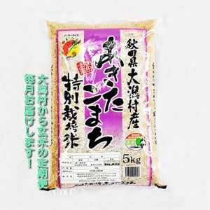 2022年12月発送開始『定期便』【玄米】大潟村産の美味しい「特別栽培米あきたこまち5kg」全9回【5074987】