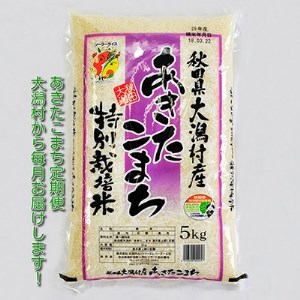 2022年12月発送開始『定期便』大潟村産の美味しい「特別栽培米あきたこまち5kg」全11回【5080621】