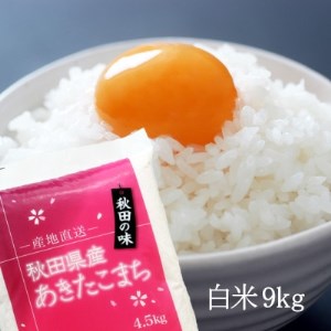 【令和4年産】秋田県産あきたこまち9kg【1353237】