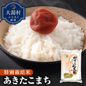 【令和4年産】大潟村産あきたこまち特別栽培米5kg (胚芽米)【1353946】