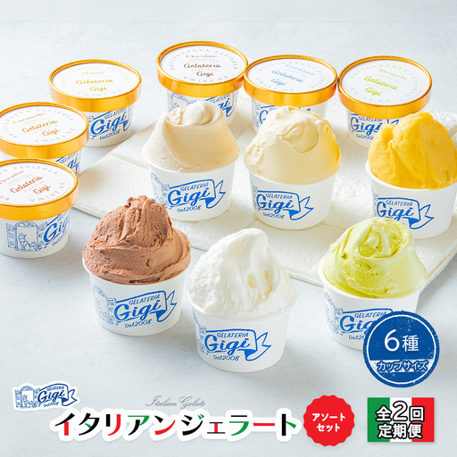【定期便：全2回】ジェラテリアGigiのイタリアンジェラート6種アソートセットカップサイズ【43004101】