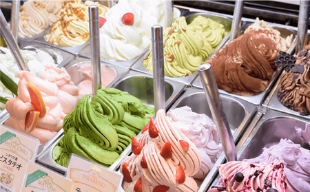 【定期便:全2回】ジェラテリアGigiのイタリアンジェラート『アルフォンソマンゴーソルベ』2000ml【43006302】