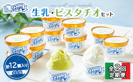 【定期便：全2回】Gigiの生乳イタリアンジェラート6個イタリア産ピスタチオ6個セット(計12個入り)【43006501】