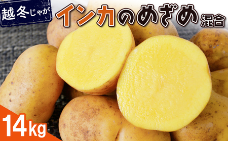 【越冬じゃが】インカのめざめ(混合) 14kg【83000202】