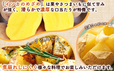 【越冬じゃが】インカのめざめ混合5kg【83001203】