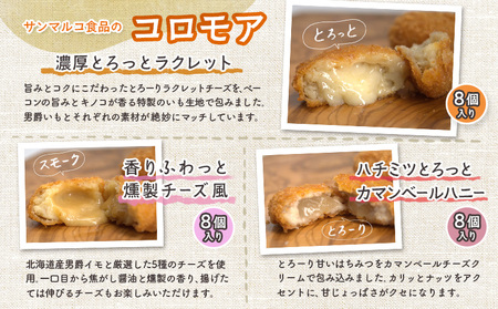 【サンマルコ食品】コロモアコロッケチーズ全3種計24個セット【070004】