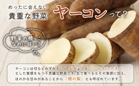 【北海道恵庭市産】余湖農園のヤーコン4kg【31001401】