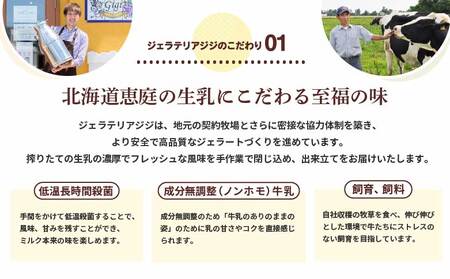 【味違いセット】ジェラテリアGigiのイタリアンジェラート 1000ml×2『生乳×チョコレート』【430146】