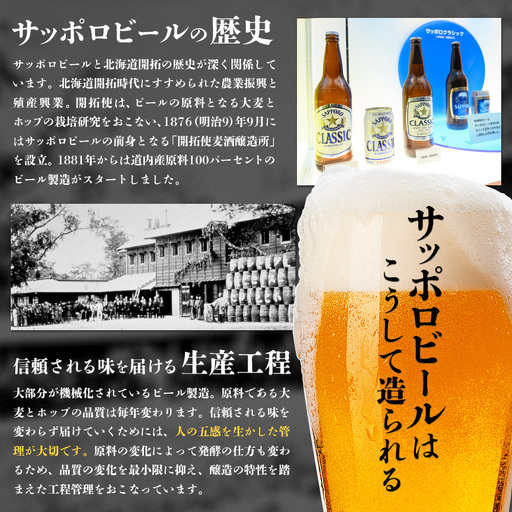 定期便全2回】【ビール飲み比べ2種各350ml×24本】サッポロ黒ラベルと