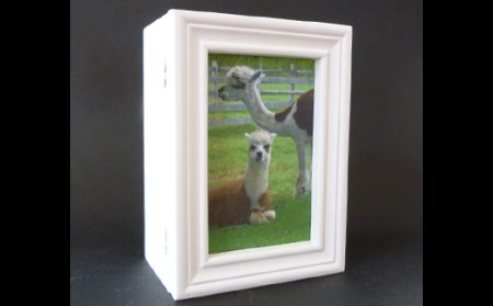 プリザーブドフラワー フラワーフォトボックス(パープル)【140006】