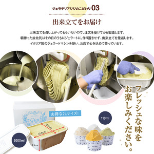 ジェラテリアGigiのイタリアンジェラート6種アソートセットカップサイズ【43003101】