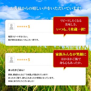 北海道米う米蔵10kg(5kg×2袋)セット【29002403】