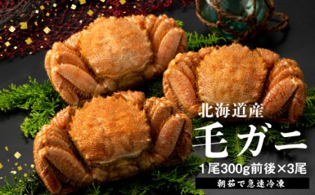 【北海道産】『冷凍』毛ガニ300g前後×3杯【急速冷凍】【52001401】
