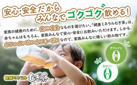 『定期便:全12回』健康ミネラルむぎ茶2L×6本【500015】