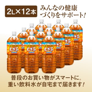 『定期便：全9回』健康ミネラル麦茶2L×6本×2箱【500021】