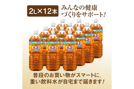 『定期便：全10回』健康ミネラルむぎ茶2L×6本×2箱【500022】