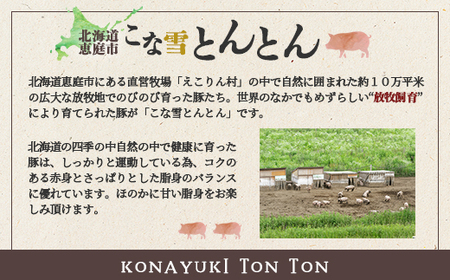 こな雪とんとん えこりん村ポークカレー 200g×1箱【190063】