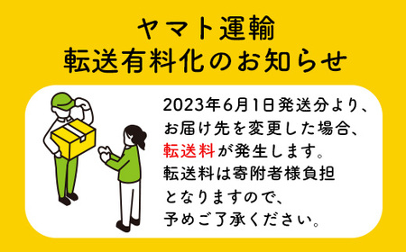 GELATO LicoLico自家製ジェラート1L（とうもろこし）【600050