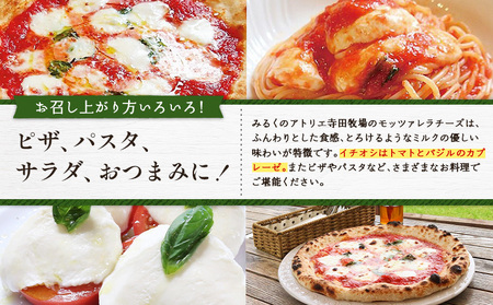 モッツァレラチーズ6個入セット（冷凍）【15000201】