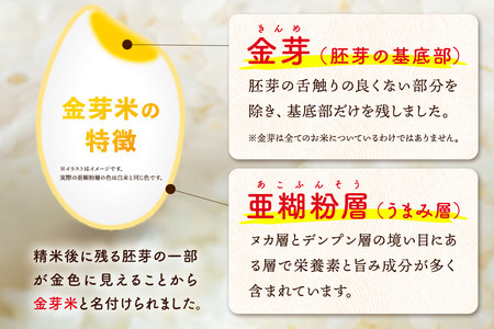 【令和7年産 白米】金芽米 あきたこまち 10kg（5kg×2袋） 玄米の栄養を残した白米 きんめまい