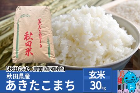 秋田県産 あきたこまち【玄米】30kg 令和4年産