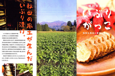 いぶりがっこ きざみ (2パック)、スライス (2パック) ゆうパケット