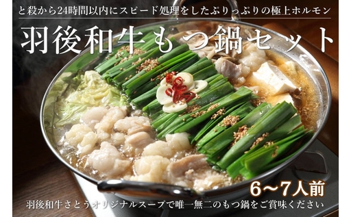 羽後和牛もつ鍋セット6～7人前 しょうゆ味 鍋物 グルメ 新鮮ホルモン 夕飯 集まり イベント 女子会 忘年会 新年会 鍋料理