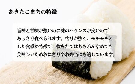 無洗米 秋田県産 あきたこまち 10kg (5kg×2袋) 令和6年産