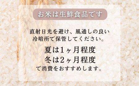 無洗米 秋田県産 あきたこまち 10kg (5kg×2袋) 令和6年産