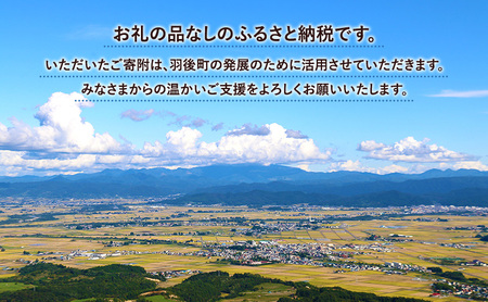 【返礼品なし】秋田県羽後町への寄付 応援 支援 寄附のみ 100,000円【羽後町ふるさと納税】