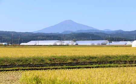 【返礼品なし】秋田県羽後町への寄付 応援 支援 寄附のみ 100,000円【羽後町ふるさと納税】