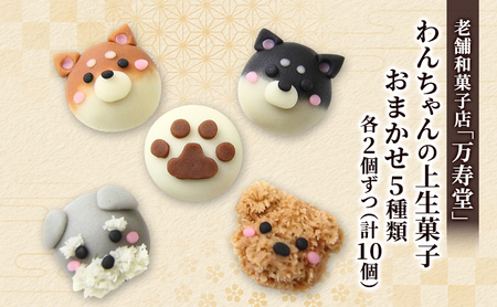 創業明治44年［菓子司 万寿堂］わんちゃんの上生菓子 おまかせ5種類 各2個ずつ（計10個）秋田 羽後 西馬音内 【菓子 和菓子 生菓子 上生菓子 スイーツ かわいい 高級 老舗 お取り寄せ ギフト】