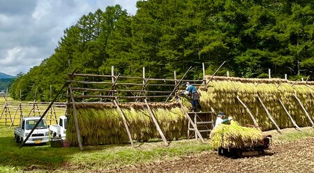 天の戸 一燈・オーガニック2025 edition 生酒 720ml×1本 [ 酒 日本酒 お酒 オーガニック ] 