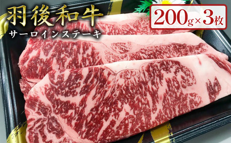 羽後和牛サーロインステーキ200g×3枚 