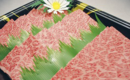 部位・量おまかせ！羽後和牛定期便（6ヶ月） 牛肉 お肉 