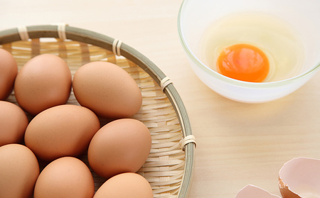 羽後のたまご 30個（27個+割れ補償3個） 生卵 活性酸素 抑制 抗酸化力 アスタキサンチン DHA 美味しい 健康維持 