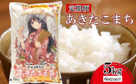 美少女イラスト 粒がひと回り大きい 高品質米 あきたこまち 定期便5kg×6回