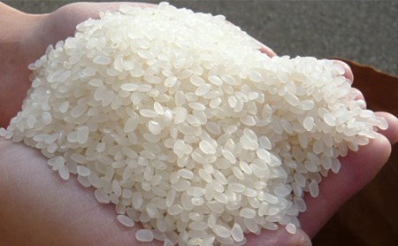 美少女イラスト 粒がひと回り大きい 高品質米 あきたこまち5kg
